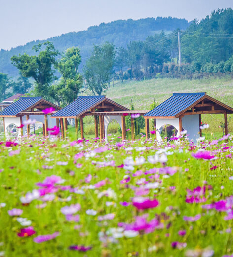 木兰草原